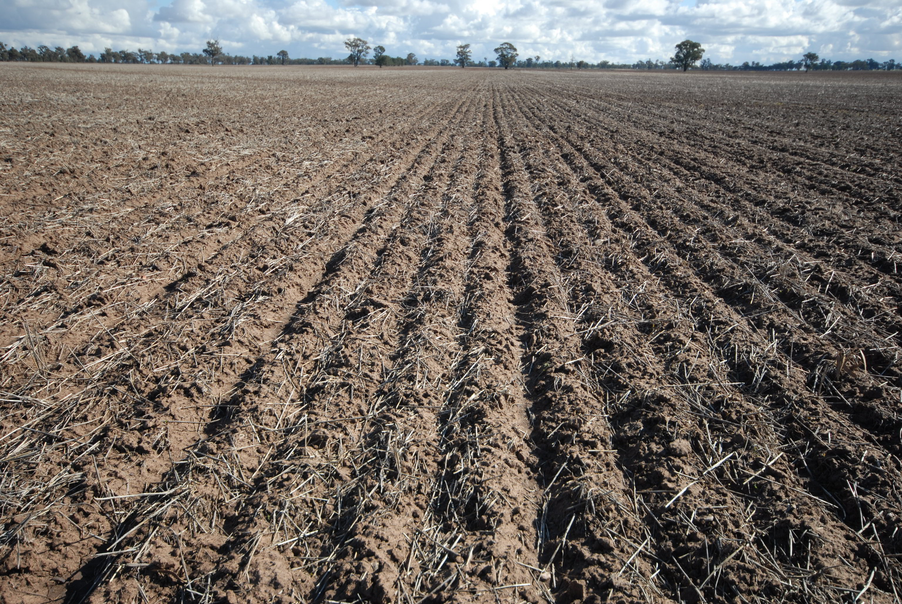 Precision cultivators - Flexi-Coil